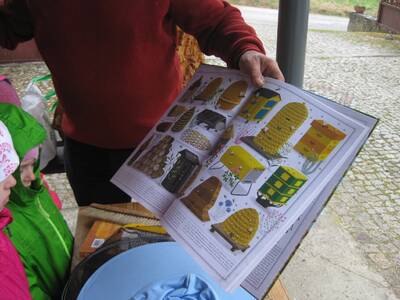 Obraz 7: Pozwólmy pszczołom zapylać rośliny i wytw...