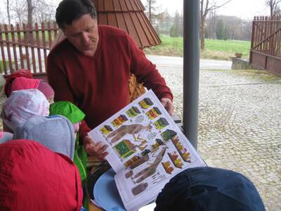 Obraz 8: Pozwólmy pszczołom zapylać rośliny i wytw...