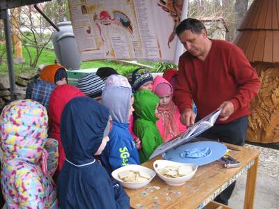 Obraz 9: Pozwólmy pszczołom zapylać rośliny i wytw...
