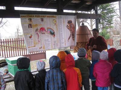 Obraz 10: Pozwólmy pszczołom zapylać rośliny i wyt...