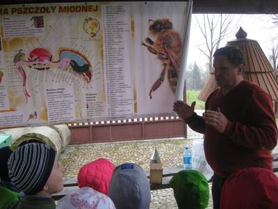 Obraz 11: Pozwólmy pszczołom zapylać rośliny i wyt...