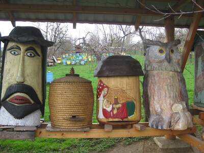 Obraz 14: Pozwólmy pszczołom zapylać rośliny i wyt...