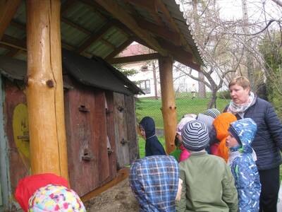 Obraz 15: Pozwólmy pszczołom zapylać rośliny i wyt...