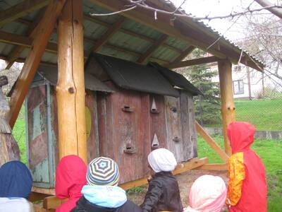 Obraz 16: Pozwólmy pszczołom zapylać rośliny i wyt...