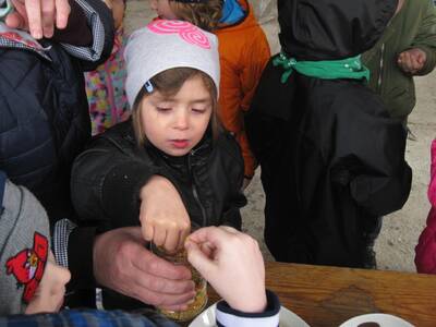 Obraz 22: Pozwólmy pszczołom zapylać rośliny i wyt...