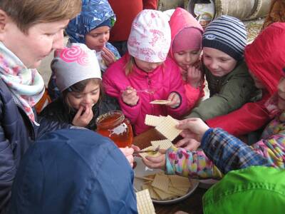 Obraz 26: Pozwólmy pszczołom zapylać rośliny i wyt...