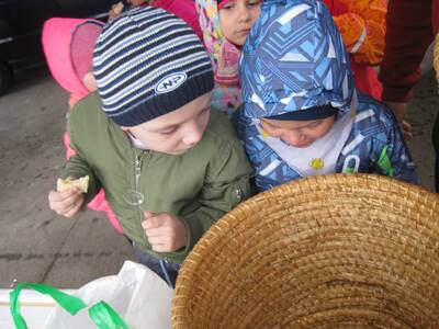 Obraz 28: Pozwólmy pszczołom zapylać rośliny i wyt...