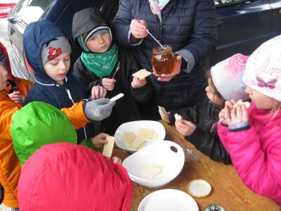 Obraz 29: Pozwólmy pszczołom zapylać rośliny i wyt...