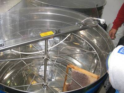 Obraz 31: Pozwólmy pszczołom zapylać rośliny i wyt...