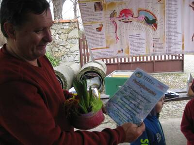 Obraz 32: Pozwólmy pszczołom zapylać rośliny i wyt...