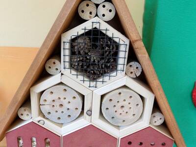 Obraz 20: Uroczyste zakończenie realizacji projekt...