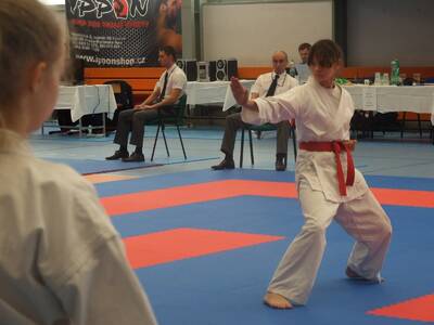 Obraz 5: CZESKIE SREBRA DLA POLEK