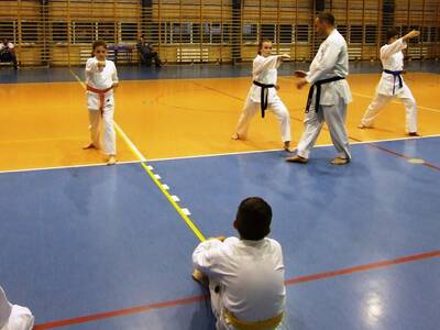 Obraz 20: PRZEDWAKACYJNE WARSZTATY KARATE!