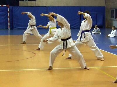 Obraz 25: PRZEDWAKACYJNE WARSZTATY KARATE!