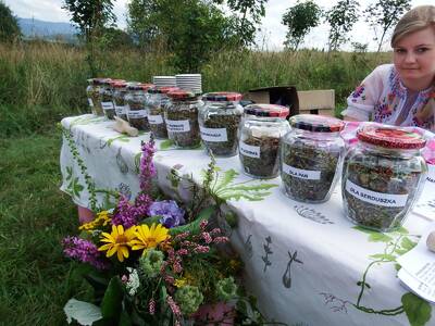 Obraz 3: ZIELARSKIE CIEKAWOSTKI W JUSZCZYNIE