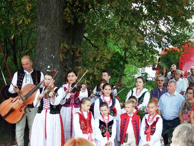 Obraz 5: ZIELARSKIE CIEKAWOSTKI W JUSZCZYNIE