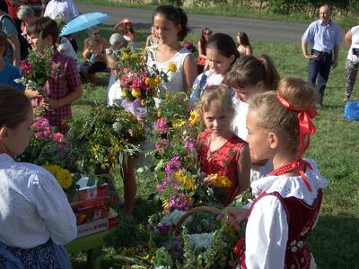 Obraz 9: ZIELARSKIE CIEKAWOSTKI W JUSZCZYNIE