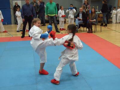 Obraz 14: UROCZYSTY  TURNIEJ  KARATE ''ARAWSHI'' Z...