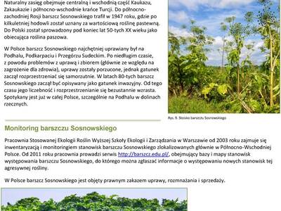 Obraz 5: UWAGA NA BARSZCZ SOSNOWSKIEGO!