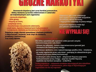 Obraz 3: Bezpieczne Ferie 2018 - informacja Powiat...