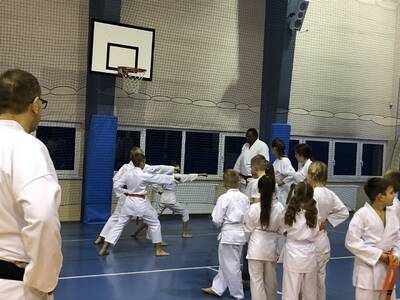 Obraz 19: OŻYWCZA  LEKCJA  AFRYKAŃSKIEGO KARATE W ...