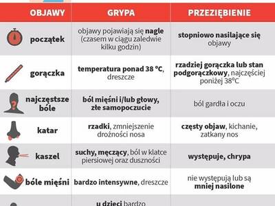 Obraz 2: GRYPA - Inspekcja Sanitarna w Żywcu infor...