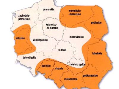 Obraz 2: Borelioza - najczęstszą chorobą wśród rol...