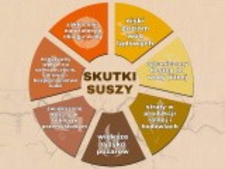 Susza: rodzaje, przyczyny, przeciwdziałanie