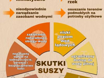 Obraz 3: Susza: rodzaje, przyczyny, przeciwdziałan...