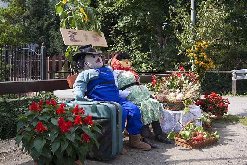 DOŻYNKOWE ŚWIĘTOWANIE W RADZIECHOWACH!