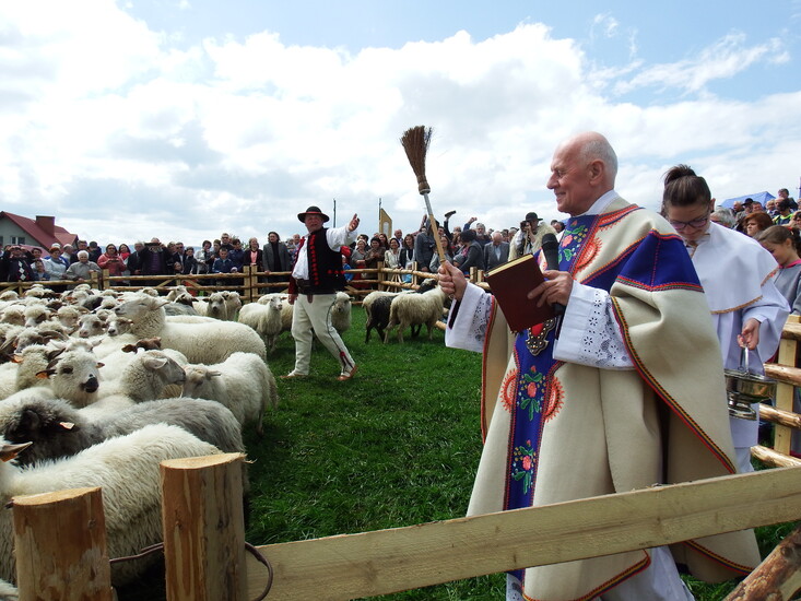 REDYK GMINNY W PRZYBĘDZY