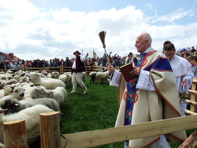 REDYK GMINNY W PRZYBĘDZY