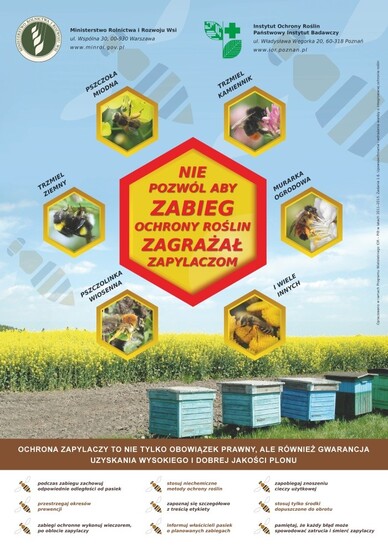 Bezpieczne stosowanie środków ochrony roślin