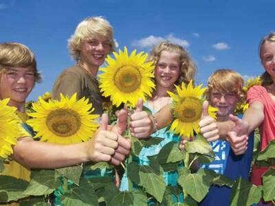 W trosce o bezpieczeństwo w gospodarstwach rolnych...