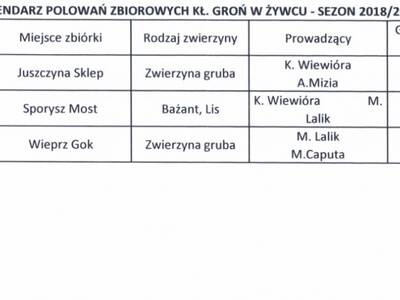 KALENDARZ polowań zbiorowych kł. GROŃ w Żywcu w se...