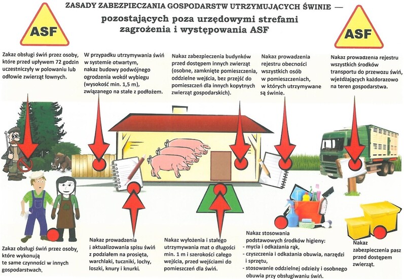 Akcja informacyjna nt. afrykańskiego pomoru świń ASF