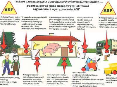 Akcja informacyjna nt. afrykańskiego pomoru świń A...