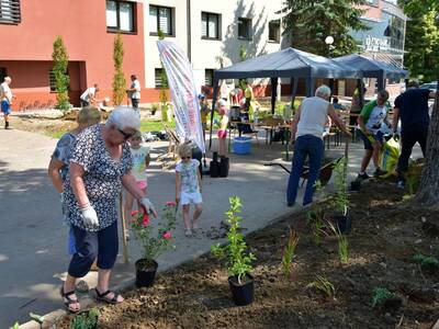 logo_214664395_4381834741834838_549226650243773972...