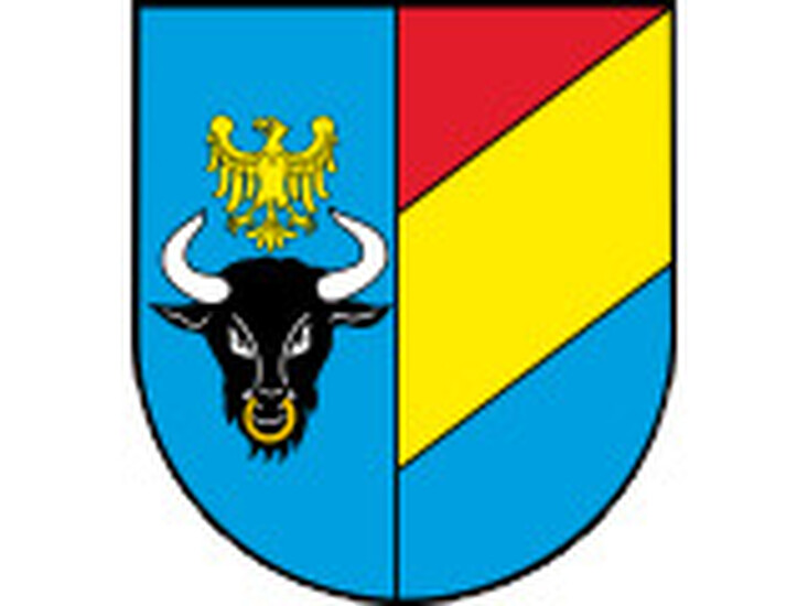 Aktualizacja ewidencji gruntów i budynków obrębu Radziechowy