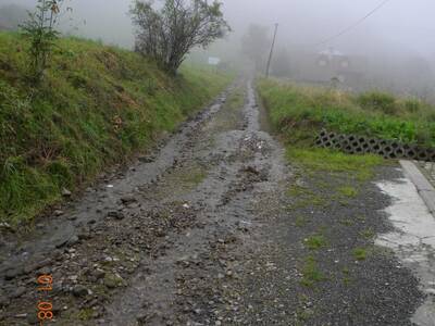 Obraz 88: Zniszczenia po nawałnicy z dnia 31 lipca...