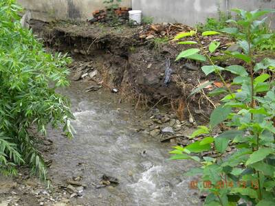 Obraz 113: Zniszczenia po nawałnicy z dnia 31 lipc...