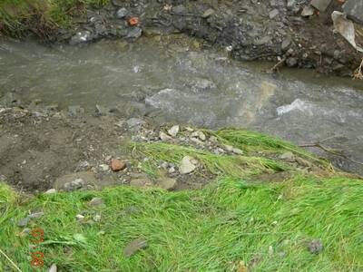 Obraz 115: Zniszczenia po nawałnicy z dnia 31 lipc...