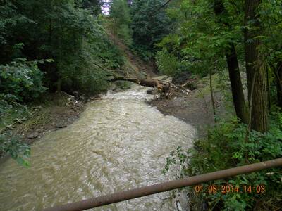 Obraz 135: Zniszczenia po nawałnicy z dnia 31 lipc...