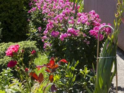 Ogród Pań Marii i Renaty Kliś