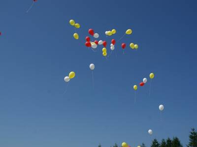 Obraz 52: Dzień Dziecka - ''Mama Tata i ja''