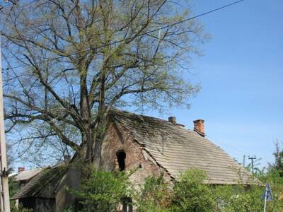 Obraz 7: Kronika Rodu Pieronków 1838-2016