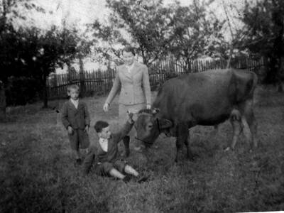 Obraz 80: Kronika Rodu Pieronków 1838-2016