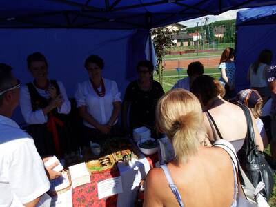 Obraz 14: DNI GMINY RADZIECHOWY-WIEPRZ 2016 - Foto...