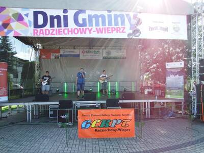Obraz 28: DNI GMINY RADZIECHOWY-WIEPRZ 2016 - Foto...