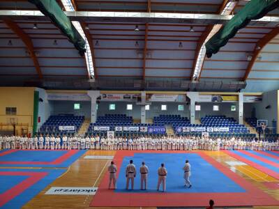 Obraz 8: Międzynarodowe Seminarium Karate